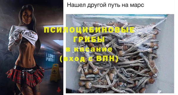 молекула духа Алексеевка