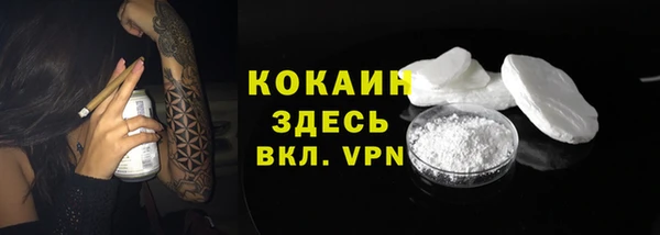 молекула духа Алексеевка