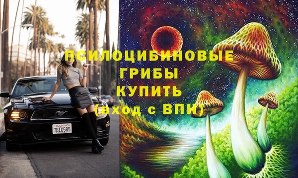молекула духа Алексеевка