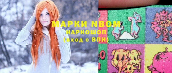 молекула духа Алексеевка