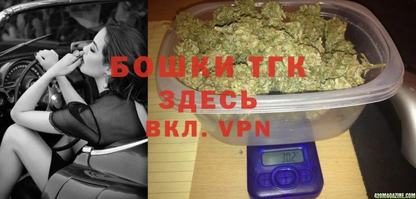 молекула духа Алексеевка