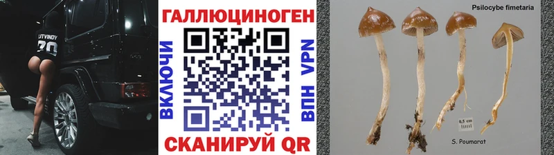 даркнет сайт  Чапаевск  Псилоцибиновые грибы Magic Shrooms 